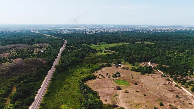 Agricultural orchard citrus fruit trees arranged in neat rows adjacent to natural woodland