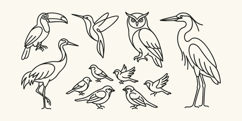 Obraz premium Minimalist Bird Line Art Illustration Set