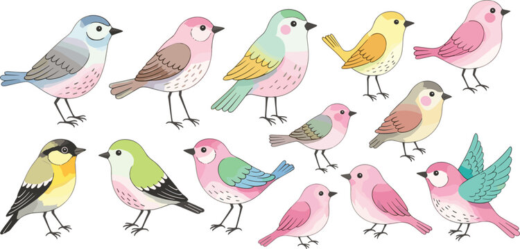 Colorful songbird vector set featuring 13 pastel bird icons for spring nature and botanical branding in a hand-drawn flat design style.