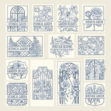 Collection of Botanical Garden and Heritage Blooms Illustrations.