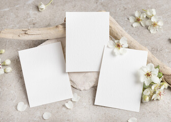 Blank cards mockup with white spring flowers and driftwood on beige stone. Wedding invitation © katrinshine