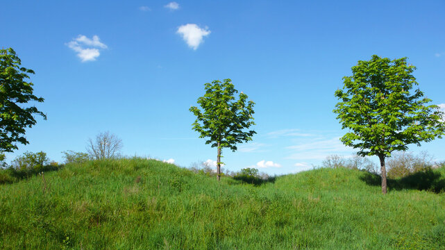 Rolling Green Hills Under Clear Blue Sky