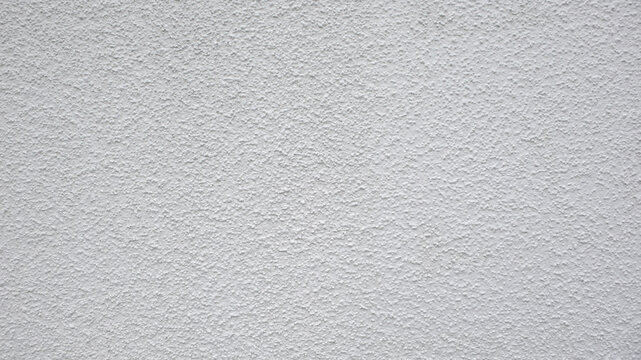 Neutral Concrete Wall Texture