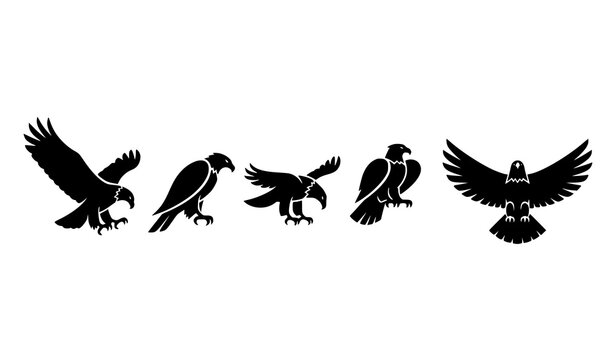Minimal eagle silhouette vector set with flying landing and perched bird poses bold black shapes isolated on white background