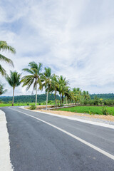 Fototapeta premium Perspective of a clean asphalt road stretching through a rural tropical area with palm trees and green hills