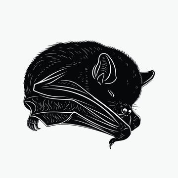 Stylized Illustration of a Sleeping Bat Wrapped in Wings.