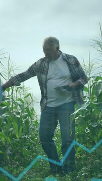 Vertical video: Senior farmer walking row, tapping tablet and generating charts for crop scouting