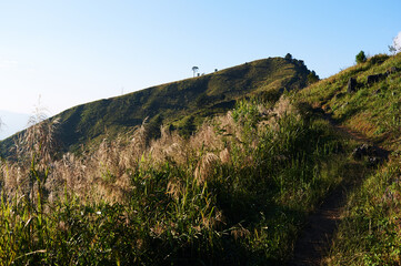 Naklejka premium Narrow trail along grassy ridge leading toward mountain peak under clear blue sky.