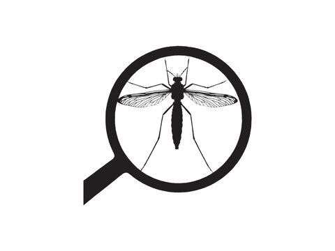 Crane fly viewed through a magnifying glass detailed insect closeup.