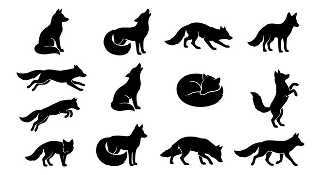 Black fox silhouette collection, 12 wild animal vector icons in various poses, forest wildlife silhouettes for hunting and nature logos