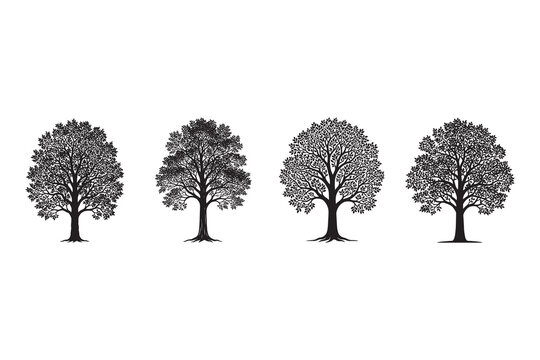 Four trees with different foliage patterns