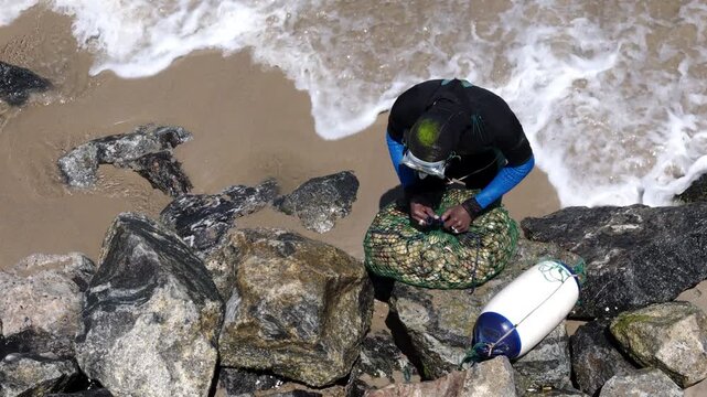 High angle view of a diver harvesting clams on the rocky shore of Luanda Bay, Angola