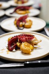 Refined seafood dish featuring a glossy octopus tentacle atop roasted potatoes, plated on a clean white plate with a light glaze. Ideal for fine dining, culinary arts, and tasting menus. © Loginova