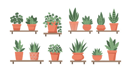 Fototapeta premium Collection of vibrant green houseplants and succulents in terracotta pots displayed on wooden shelves in a clean and modern art style.
