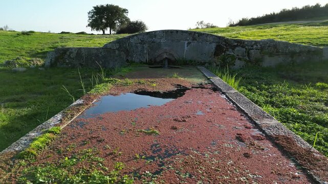 Very low angle view of a rural livestock water trough with algae and water surface detail, set in green countryside under soft natural light.