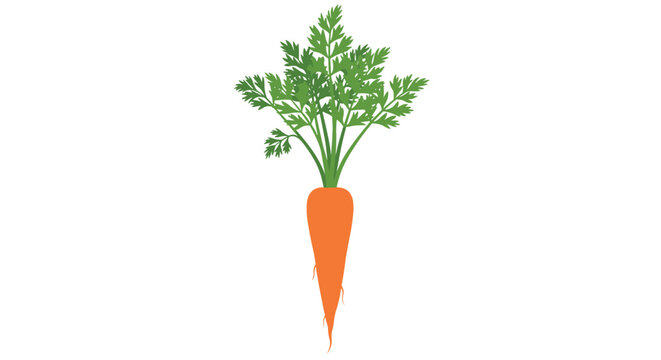 Single fresh orange carrot with long green leafy tops shown vertically on a plain white background in a clean vector style.