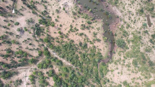 Aerial top down tracking shot revealing a calm pond surrounded by dry terrain, scattered trees and natural vegetation. Cinematic drone footage ideal for nature, environment and landscape projects.