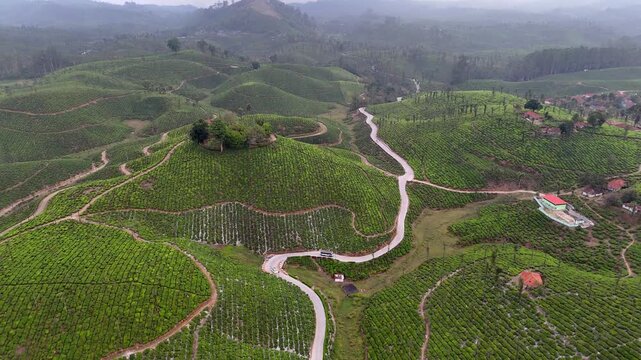 Cinematic aerial view of Valparai showcasing rolling hills covered in neatly patterned tea plantations, intersected by winding roads that snake through the landscape.