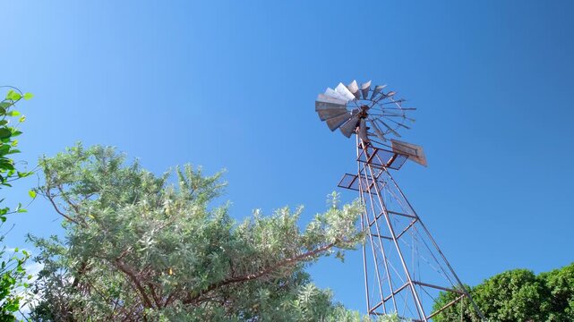 Upward view over bushes of rotating metal windpump in breeze against blue sky