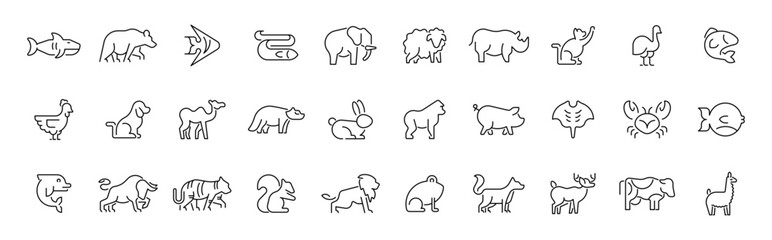 Obraz premium Animal outline editable stroke icon set: thin line style symbols of diverse wildlife creatures