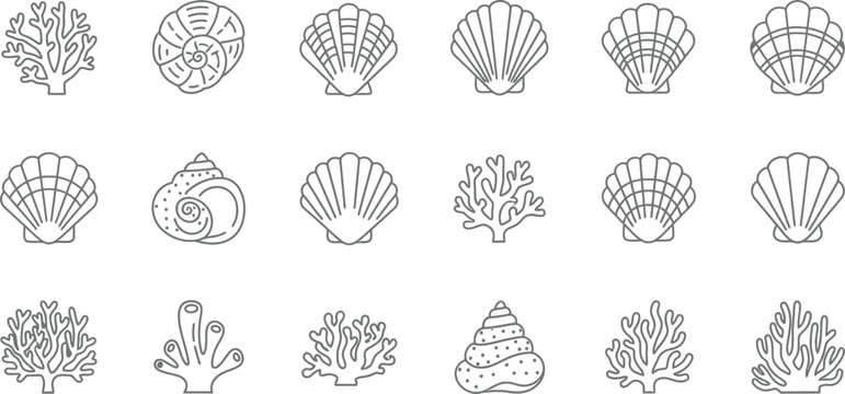 Collection of line of seashells and coral branches outline