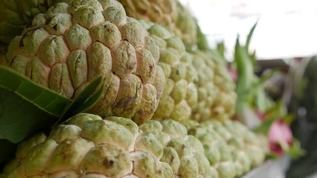 Sugar apple fruits Annona squamosa displayed with additional fruits visible behind. Tropical fruit, farmers market.
