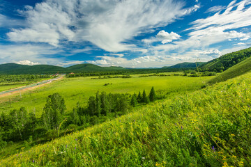 Obraz premium Hulunbuir Hawuer River: A Green Oasis Amidst Forested Curving Waters
