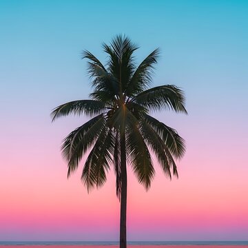 Solitary palm tree against a vibrant gradient sky and calm sea