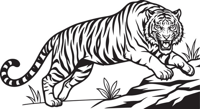Black and White Tiger Vector