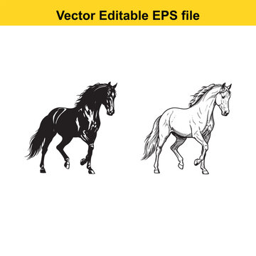 Vector art of two horses, one black silhouette and one white line drawing, running