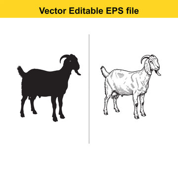Vector art of goat illustration, farm animal