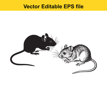 Vector art of two mice, one black silhouette and one detailed drawing