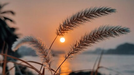 Obraz premium Sunset Silhouette of Tall Grasses by Lake