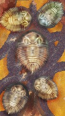 A collection of prehistoric trilobite fossils arranged on a textured dark brown earthy stone background, abstract digital illustration. © DECHA