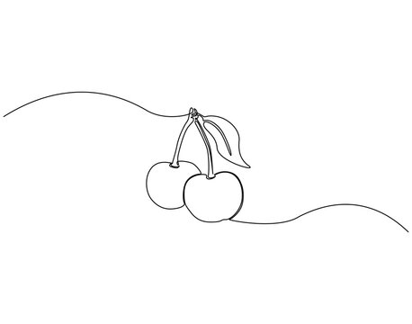 Cherry fruit continuous line art. Cherry one line drawing. Fruit concept vector illustration