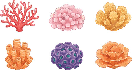 Coral Reef Illustration Set with Different Sea Coral Types in Soft Color Style for Marine Life Design, Ocean Decoration and Underwater Graphics © Sabbir Studio