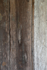 Fototapeta premium Reclaimed wood siding with one white painted plank, visible cracks, knots, nail holes, and scattered staples in even natural light