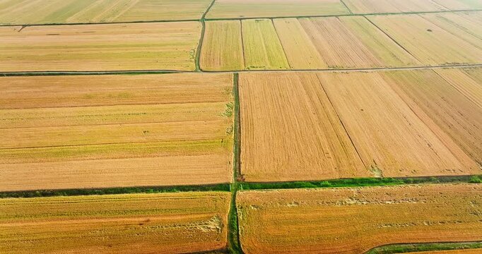 Aerial view of rural farmland with a patchwork pattern of golden fields