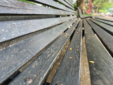A low-angle perspective shot focusing on the parallel wooden slats of a park bench with a blurred background of trees in a public garden.