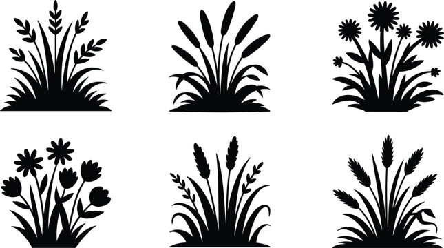 Wild grass and flowers silhouettes vector set, botanical plants collection, black nature elements for garden and landscape design