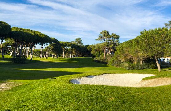 rake in a sand bunker on golf course