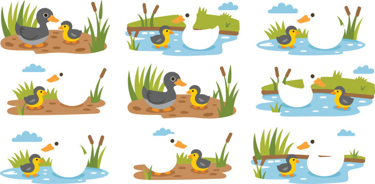 Cute cartoon duck and duckling vector illustration set featuring mother ducks and babies in pond with reeds and grass
