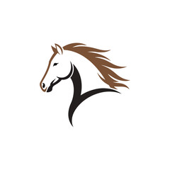 A white horse with a brown mane © MD. SAHADAT