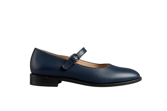 Navy blue leather mary jane shoe with buckle strap and flat heel isolated on transparent background
