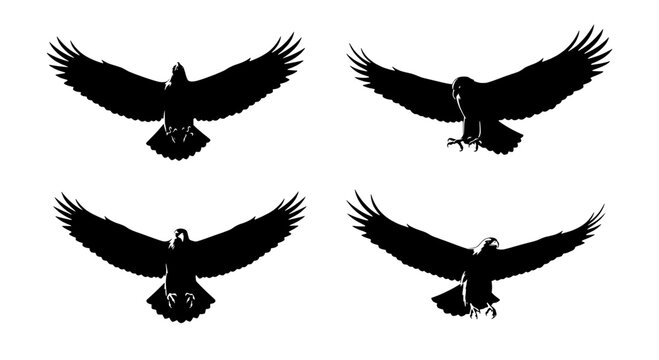 Eagle bird icon silhouette set with spread wings, sharp talons, and detailed feathers for nature and wildlife graphics