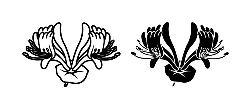 Honeysuckle Flower Silhouette and Line Art Vector Set