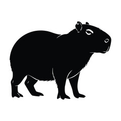Obraz premium Capybara silhouette set bundle, large rodent mammal in profile.