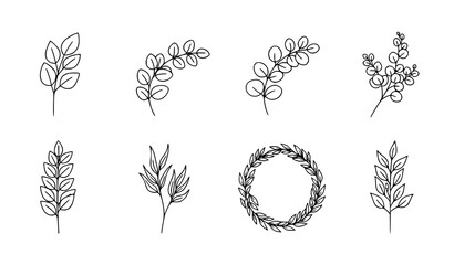 Minimal eucalyptus branch line art illustration set with botanical leaf outline icons for natural wellness design isolated on white © Lipi
