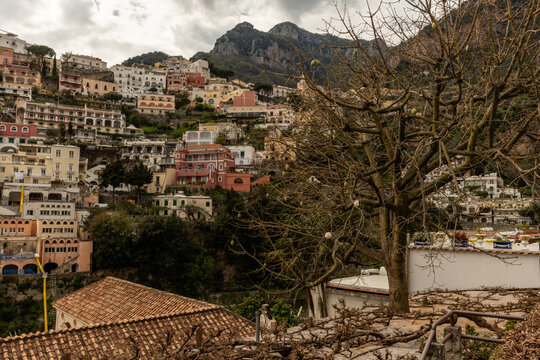 Scenic panoramic aerial Positano vista in springtime with the silk floss tree in the foreground, Amalfi Coast, Italy