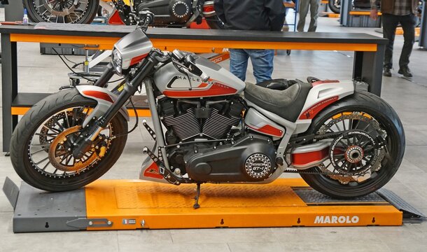 Harley-Davidson Softail Custom Bike